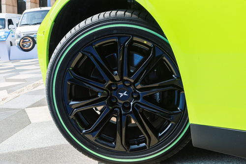 專訪賽輪集團(tuán)董事長(zhǎng)劉燕華 新能源浪潮重塑輪胎產(chǎn)業(yè)格局，國(guó)產(chǎn)輪胎迎來(lái)“彎道超車”新機(jī)遇